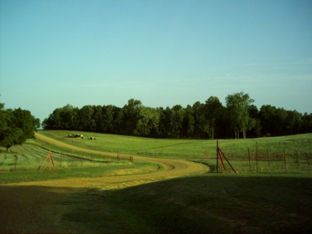 dsci0093.jpg
