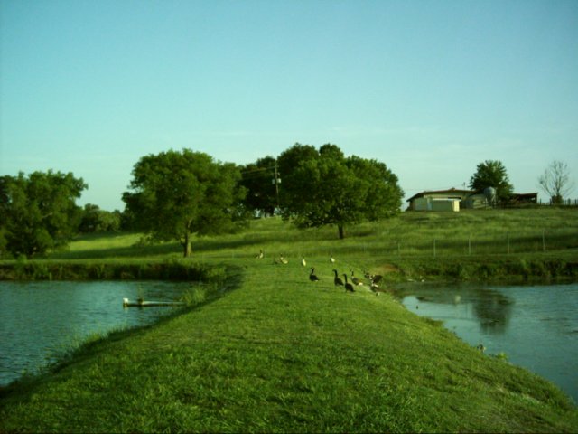 dsci0103.jpg