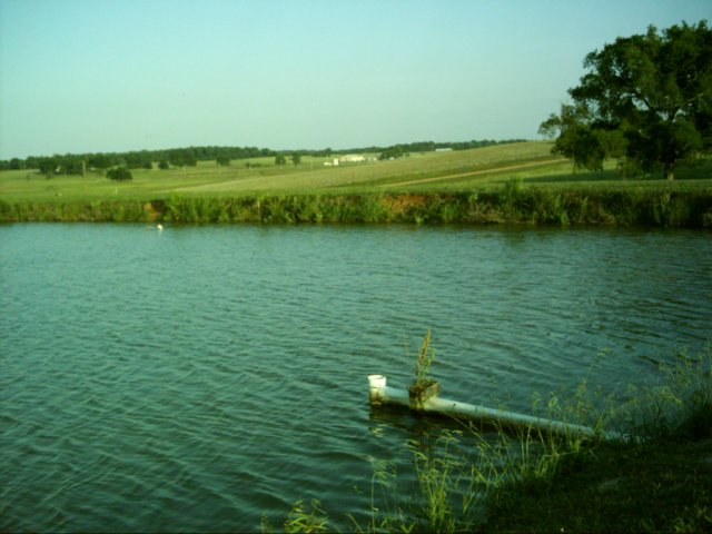 dsci0107.jpg