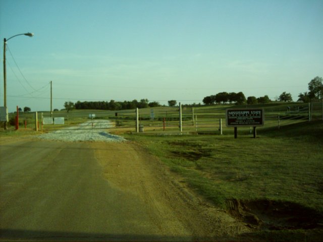 dsci0108.jpg