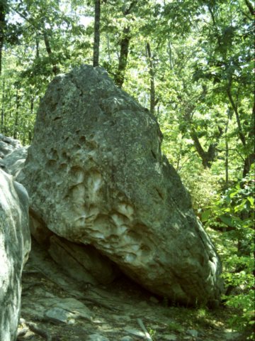 dsci0063.jpg