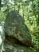 dsci0063_small.jpg
