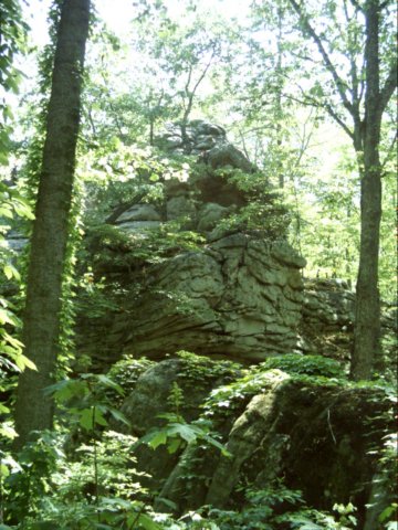 dsci0065.jpg