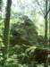 dsci0065_small.jpg