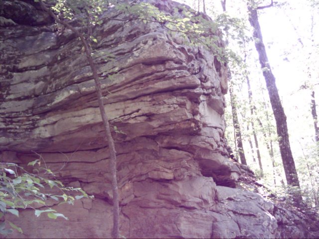 dsci0068.jpg