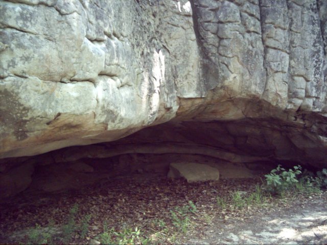 dsci0069.jpg