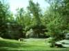 dsci0083_small.jpg