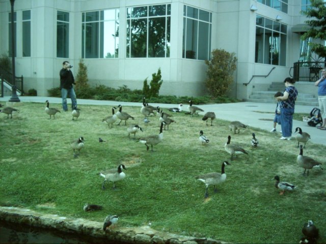 dsci0093.jpg