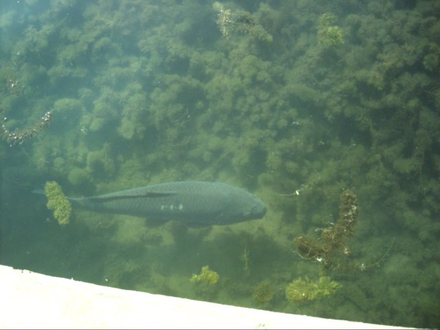dsci0097.jpg