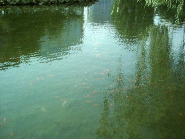 dsci0101.jpg