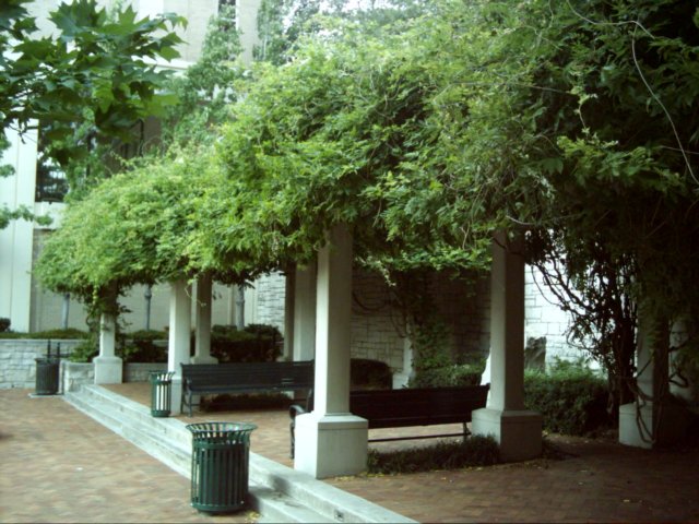 dsci0135.jpg