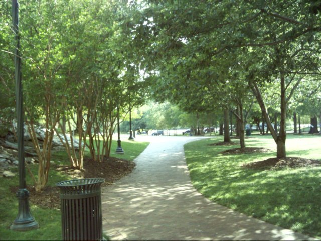 dsci0138.jpg