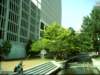 dsci0141_small.jpg