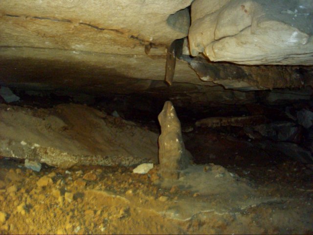 dsci0033.jpg