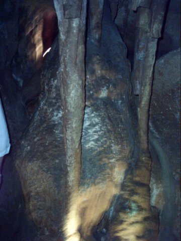 dsci0080.jpg
