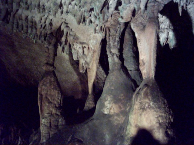 dsci0081.jpg