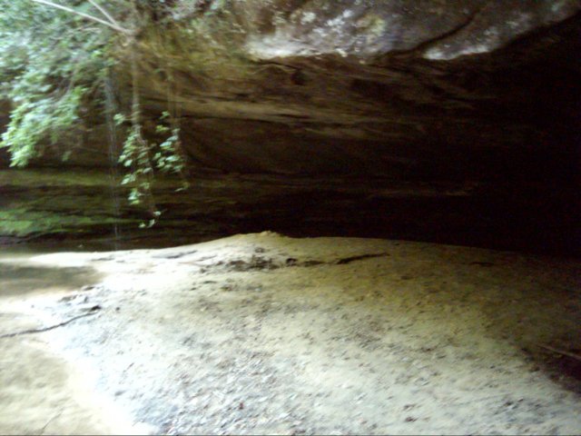 dsci0225.jpg