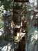 dsci0052_small.jpg