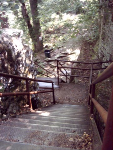 dsci0060.jpg