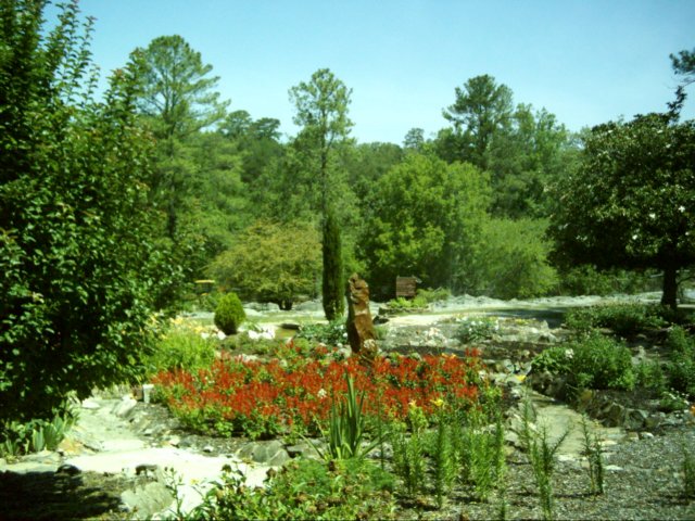 dsci0117.jpg