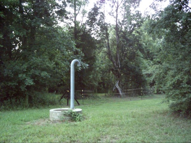 dsci0030.jpg