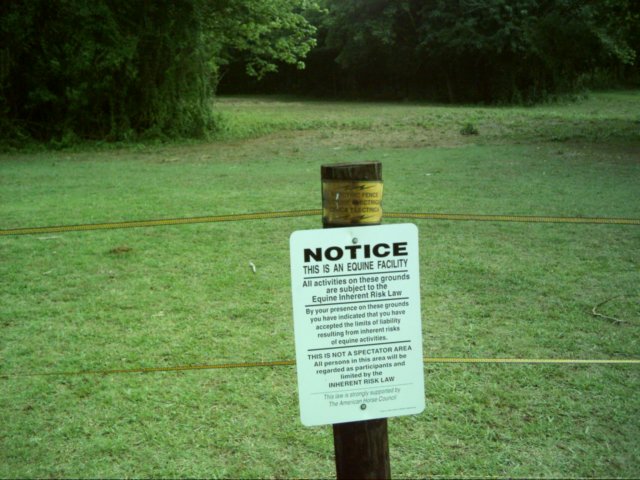 dsci0046.jpg