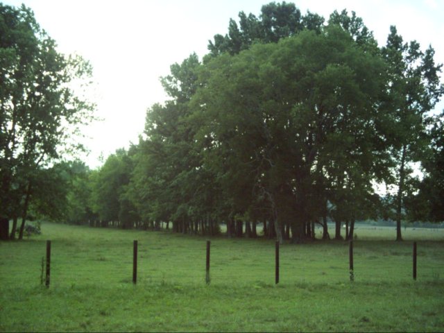 dsci0050.jpg