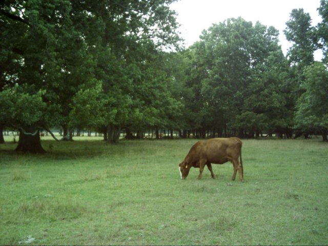 dsci0054.jpg