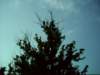 dsci0056_small.jpg