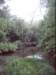 dsci0066_small.jpg