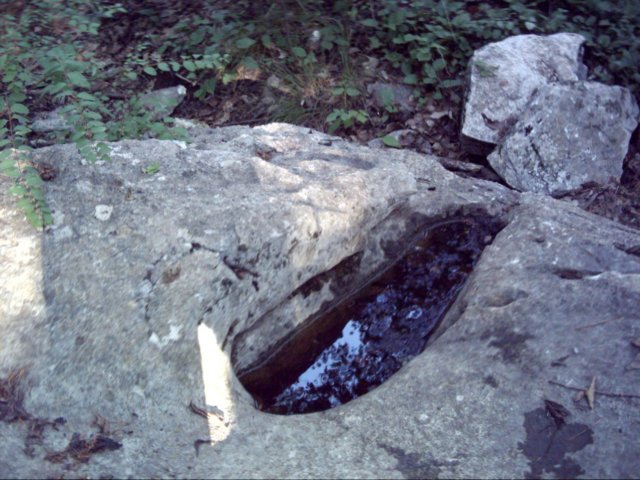 dsci0127.jpg