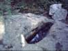 dsci0127_small.jpg