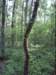 dsci0130_small.jpg