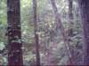 dsci0134_small.jpg