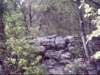 dsci0153_small.jpg