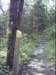 dsci0155_small.jpg