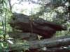 dsci0163_small.jpg