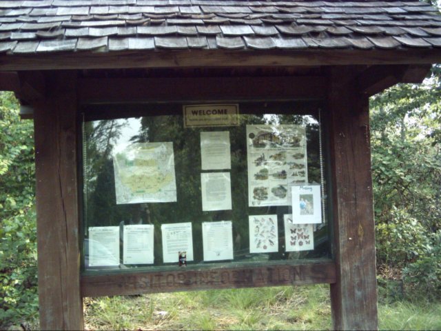 dsci0002.jpg