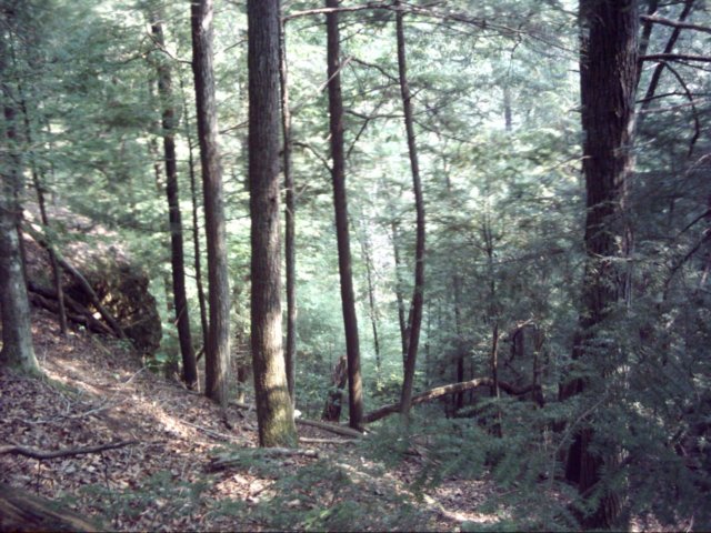 dsci0022.jpg