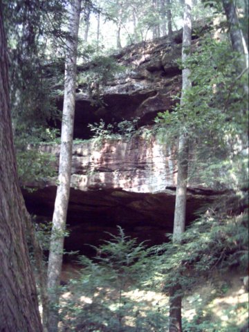 dsci0026.jpg