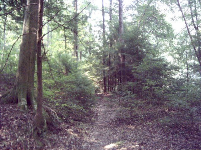 dsci0045.jpg