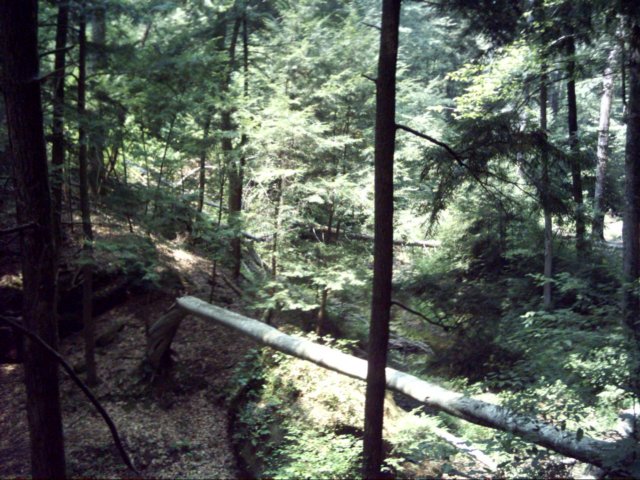 dsci0064.jpg