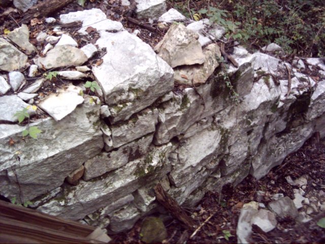 dsci0037.jpg