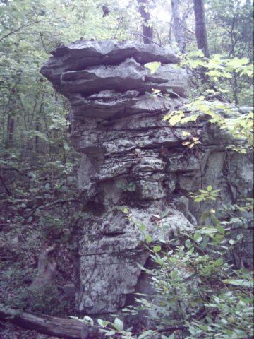 dsci0034.jpg