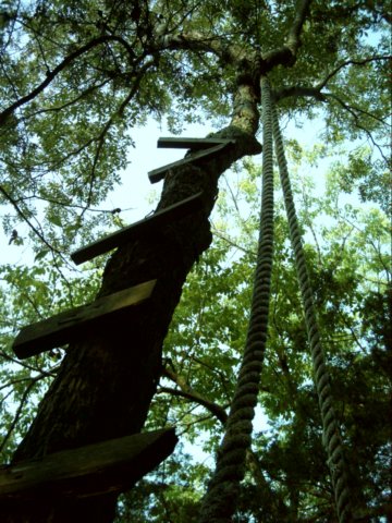 dsci0036.jpg