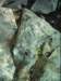 dsci0044_small.jpg
