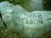 dsci0074_small.jpg