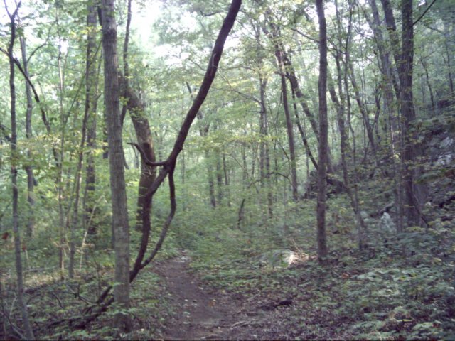 dsci0112.jpg