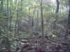 dsci0120_small.jpg