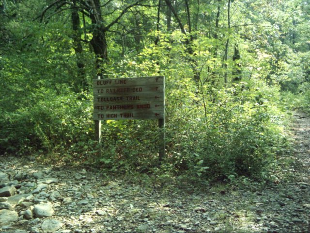 dsci0125.jpg